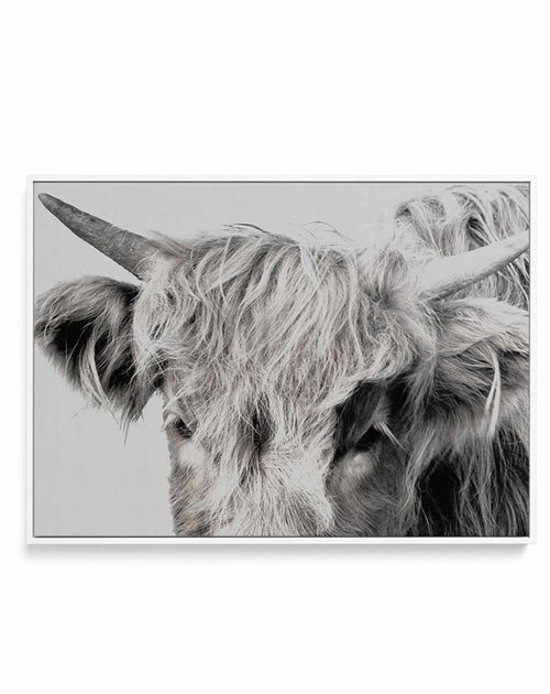 Highlander II | LS | Framed Canvas-CANVAS-You can shop wall art online with Olive et Oriel for everything from abstract art to fun kids wall art. Our beautiful modern art prints and canvas art are available from large canvas prints to wall art paintings and our proudly Australian artwork collection offers only the highest quality framed large wall art and canvas art Australia - You can buy fashion photography prints or Hampton print posters and paintings on canvas from Olive et Oriel and have th