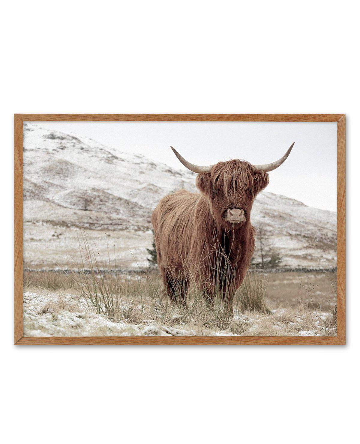 Highlander | LS Art Print-PRINT-Olive et Oriel-Olive et Oriel-50x70 cm | 19.6" x 27.5"-Walnut-With White Border-Buy-Australian-Art-Prints-Online-with-Olive-et-Oriel-Your-Artwork-Specialists-Austrailia-Decorate-With-Coastal-Photo-Wall-Art-Prints-From-Our-Beach-House-Artwork-Collection-Fine-Poster-and-Framed-Artwork