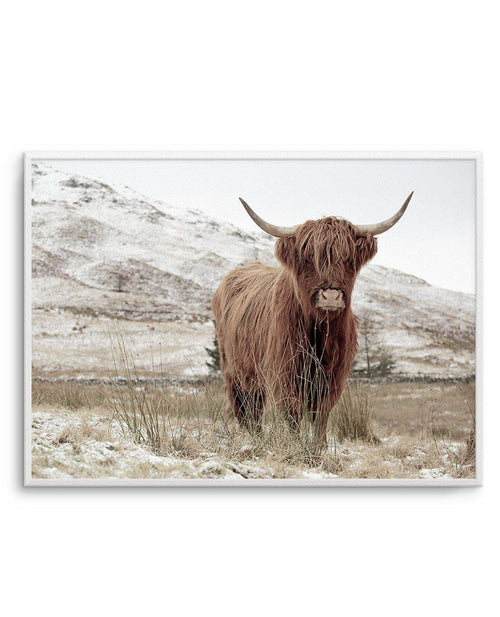Highlander | LS Art Print-PRINT-Olive et Oriel-Olive et Oriel-A5 | 5.8" x 8.3" | 14.8 x 21cm-Unframed Art Print-With White Border-Buy-Australian-Art-Prints-Online-with-Olive-et-Oriel-Your-Artwork-Specialists-Austrailia-Decorate-With-Coastal-Photo-Wall-Art-Prints-From-Our-Beach-House-Artwork-Collection-Fine-Poster-and-Framed-Artwork