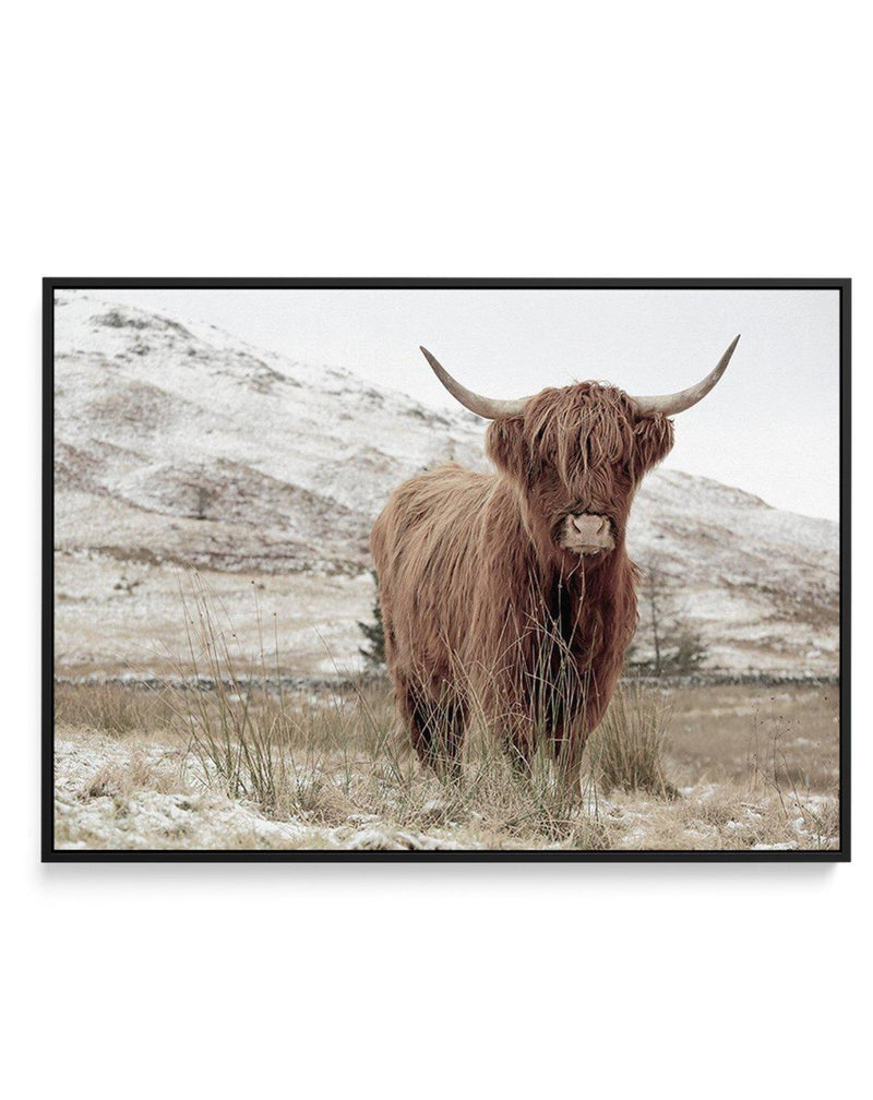 Highlander | LS | Framed Canvas-CANVAS-You can shop wall art online with Olive et Oriel for everything from abstract art to fun kids wall art. Our beautiful modern art prints and canvas art are available from large canvas prints to wall art paintings and our proudly Australian artwork collection offers only the highest quality framed large wall art and canvas art Australia - You can buy fashion photography prints or Hampton print posters and paintings on canvas from Olive et Oriel and have them 