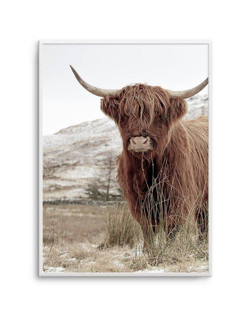 Highlander | PT Art Print-PRINT-Olive et Oriel-Olive et Oriel-A5 | 5.8" x 8.3" | 14.8 x 21cm-Unframed Art Print-With White Border-Buy-Australian-Art-Prints-Online-with-Olive-et-Oriel-Your-Artwork-Specialists-Austrailia-Decorate-With-Coastal-Photo-Wall-Art-Prints-From-Our-Beach-House-Artwork-Collection-Fine-Poster-and-Framed-Artwork