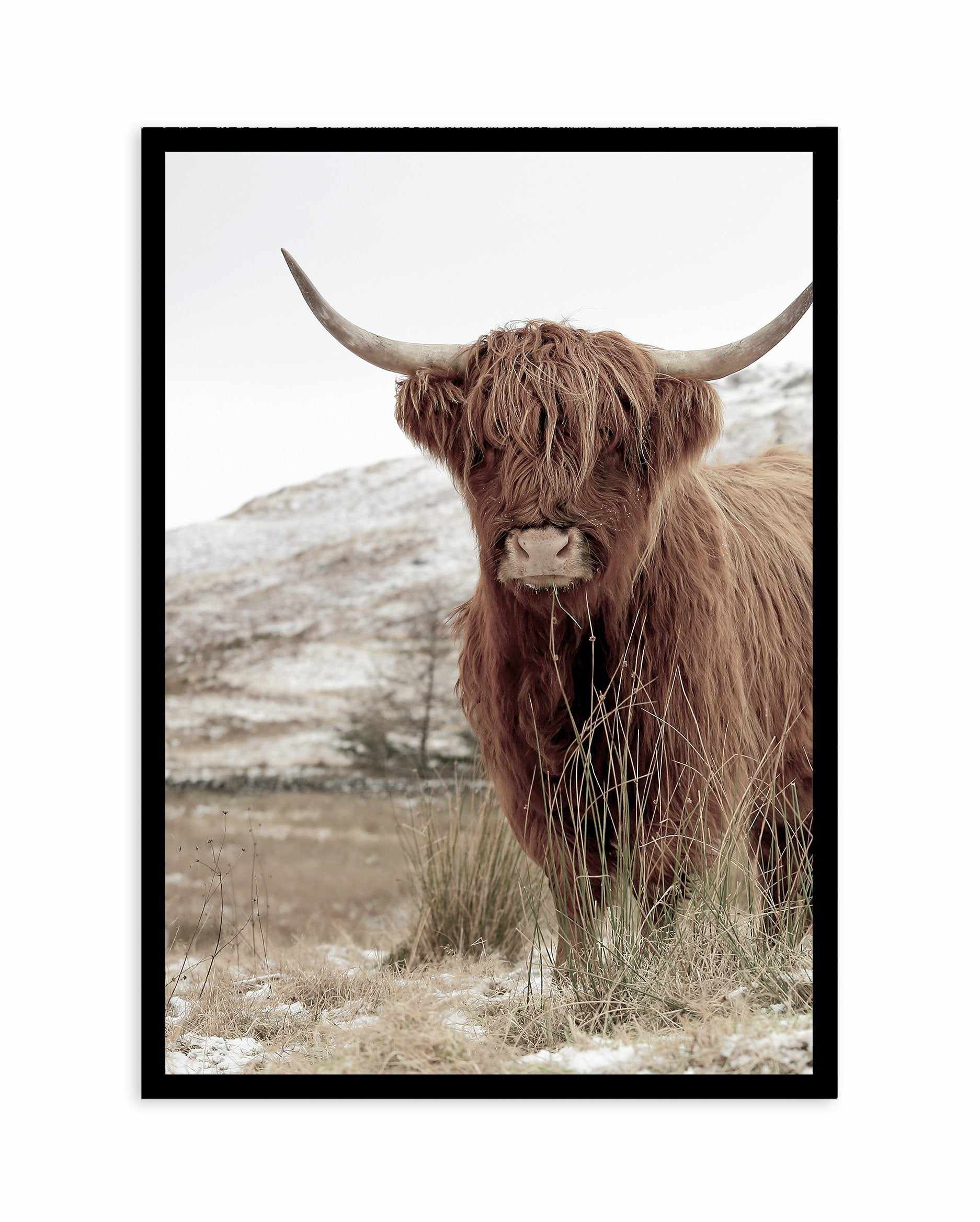 Highlander | PT Art Print-PRINT-Olive et Oriel-Olive et Oriel-A5 | 5.8" x 8.3" | 14.8 x 21cm-Black-With White Border-Buy-Australian-Art-Prints-Online-with-Olive-et-Oriel-Your-Artwork-Specialists-Austrailia-Decorate-With-Coastal-Photo-Wall-Art-Prints-From-Our-Beach-House-Artwork-Collection-Fine-Poster-and-Framed-Artwork