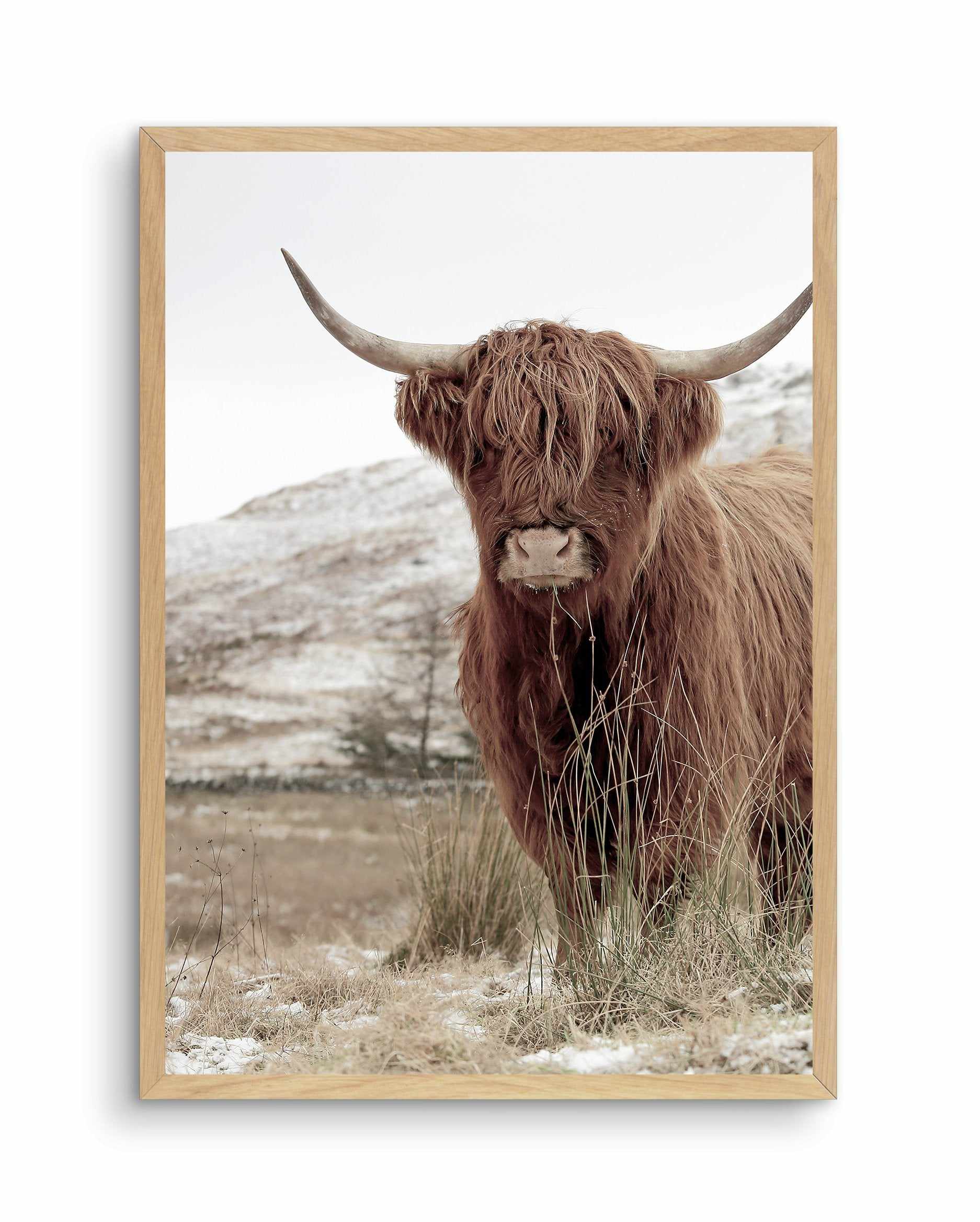 Highlander | PT Art Print-PRINT-Olive et Oriel-Olive et Oriel-A5 | 5.8" x 8.3" | 14.8 x 21cm-Oak-With White Border-Buy-Australian-Art-Prints-Online-with-Olive-et-Oriel-Your-Artwork-Specialists-Austrailia-Decorate-With-Coastal-Photo-Wall-Art-Prints-From-Our-Beach-House-Artwork-Collection-Fine-Poster-and-Framed-Artwork