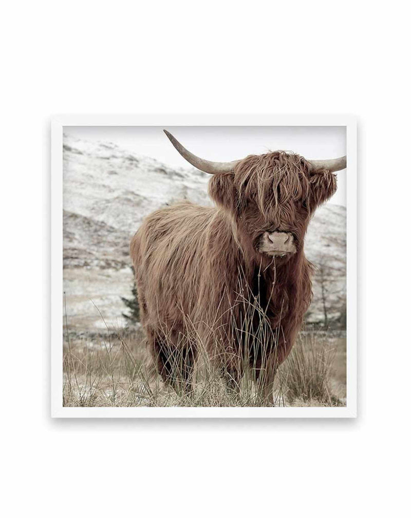 Highlander | SQ Art Print-PRINT-Olive et Oriel-Olive et Oriel-70x70 cm | 27.5" x 27.5"-White-With White Border-Buy-Australian-Art-Prints-Online-with-Olive-et-Oriel-Your-Artwork-Specialists-Austrailia-Decorate-With-Coastal-Photo-Wall-Art-Prints-From-Our-Beach-House-Artwork-Collection-Fine-Poster-and-Framed-Artwork