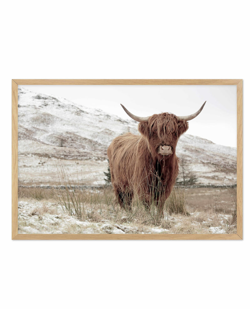 Highlander | LS Art Print-PRINT-Olive et Oriel-Olive et Oriel-A5 | 5.8" x 8.3" | 14.8 x 21cm-Oak-With White Border-Buy-Australian-Art-Prints-Online-with-Olive-et-Oriel-Your-Artwork-Specialists-Austrailia-Decorate-With-Coastal-Photo-Wall-Art-Prints-From-Our-Beach-House-Artwork-Collection-Fine-Poster-and-Framed-Artwork