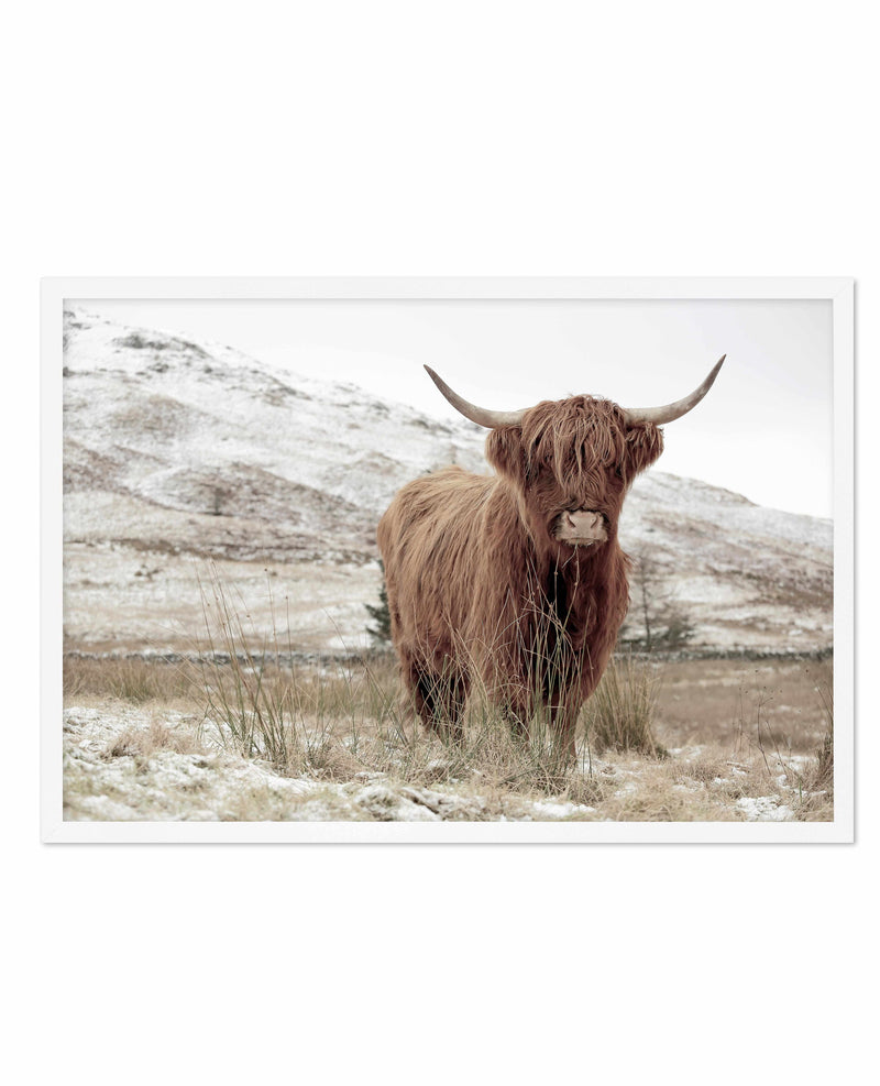 Highlander | LS Art Print-PRINT-Olive et Oriel-Olive et Oriel-A5 | 5.8" x 8.3" | 14.8 x 21cm-White-With White Border-Buy-Australian-Art-Prints-Online-with-Olive-et-Oriel-Your-Artwork-Specialists-Austrailia-Decorate-With-Coastal-Photo-Wall-Art-Prints-From-Our-Beach-House-Artwork-Collection-Fine-Poster-and-Framed-Artwork