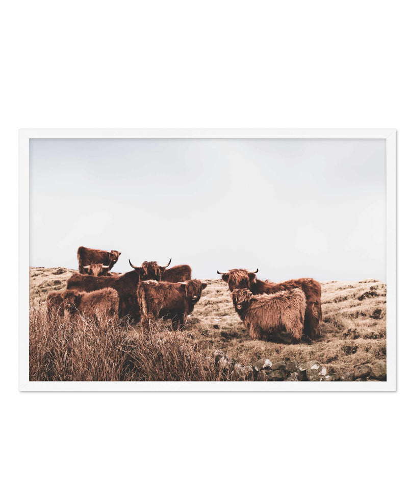 Highlander Herd | LS Art Print-PRINT-Olive et Oriel-Olive et Oriel-A5 | 5.8" x 8.3" | 14.8 x 21cm-White-With White Border-Buy-Australian-Art-Prints-Online-with-Olive-et-Oriel-Your-Artwork-Specialists-Austrailia-Decorate-With-Coastal-Photo-Wall-Art-Prints-From-Our-Beach-House-Artwork-Collection-Fine-Poster-and-Framed-Artwork