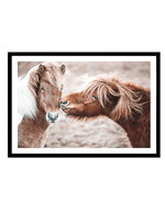 Horse Kisses Art Print-PRINT-Olive et Oriel-Olive et Oriel-A5 | 5.8" x 8.3" | 14.8 x 21cm-Black-With White Border-Buy-Australian-Art-Prints-Online-with-Olive-et-Oriel-Your-Artwork-Specialists-Austrailia-Decorate-With-Coastal-Photo-Wall-Art-Prints-From-Our-Beach-House-Artwork-Collection-Fine-Poster-and-Framed-Artwork