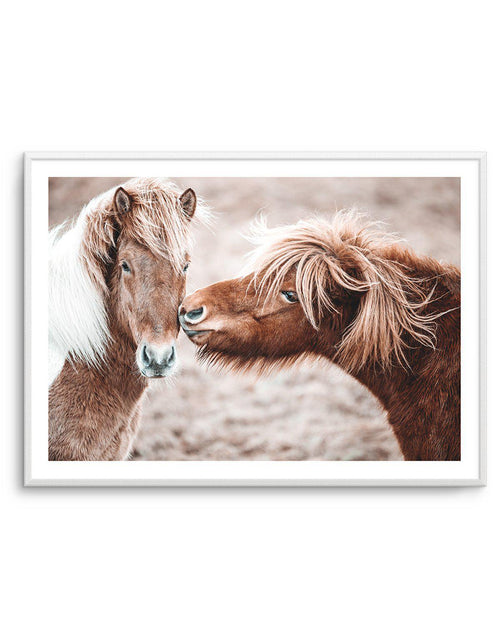 Horse Kisses Art Print-PRINT-Olive et Oriel-Olive et Oriel-A5 | 5.8" x 8.3" | 14.8 x 21cm-Unframed Art Print-With White Border-Buy-Australian-Art-Prints-Online-with-Olive-et-Oriel-Your-Artwork-Specialists-Austrailia-Decorate-With-Coastal-Photo-Wall-Art-Prints-From-Our-Beach-House-Artwork-Collection-Fine-Poster-and-Framed-Artwork