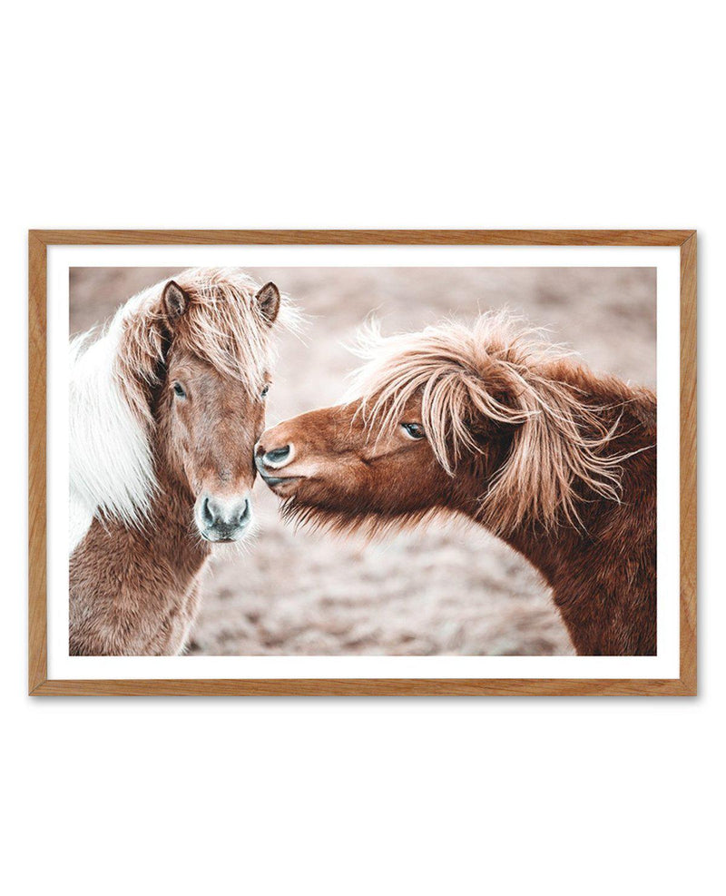 Horse Kisses Art Print-PRINT-Olive et Oriel-Olive et Oriel-50x70 cm | 19.6" x 27.5"-Walnut-With White Border-Buy-Australian-Art-Prints-Online-with-Olive-et-Oriel-Your-Artwork-Specialists-Austrailia-Decorate-With-Coastal-Photo-Wall-Art-Prints-From-Our-Beach-House-Artwork-Collection-Fine-Poster-and-Framed-Artwork