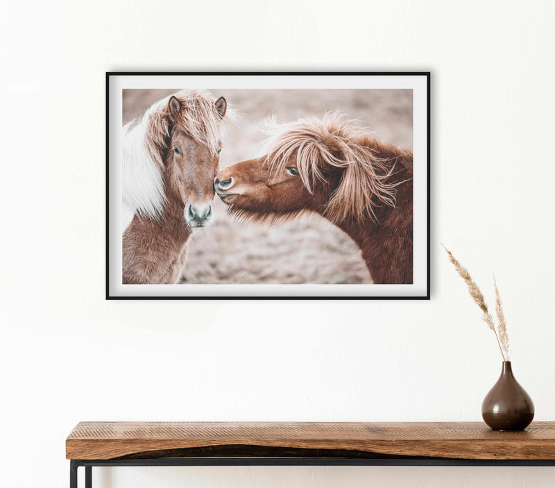 Horse Kisses Art Print-PRINT-Olive et Oriel-Olive et Oriel-Buy-Australian-Art-Prints-Online-with-Olive-et-Oriel-Your-Artwork-Specialists-Austrailia-Decorate-With-Coastal-Photo-Wall-Art-Prints-From-Our-Beach-House-Artwork-Collection-Fine-Poster-and-Framed-Artwork