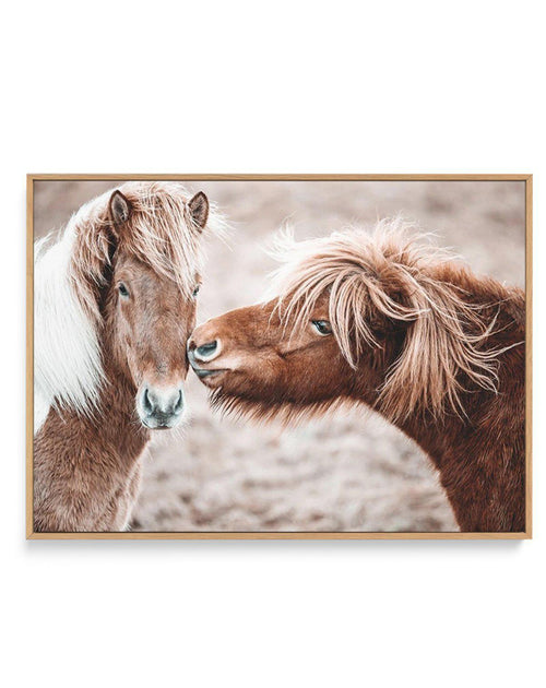 Horse Kisses | Framed Canvas-CANVAS-You can shop wall art online with Olive et Oriel for everything from abstract art to fun kids wall art. Our beautiful modern art prints and canvas art are available from large canvas prints to wall art paintings and our proudly Australian artwork collection offers only the highest quality framed large wall art and canvas art Australia - You can buy fashion photography prints or Hampton print posters and paintings on canvas from Olive et Oriel and have them del