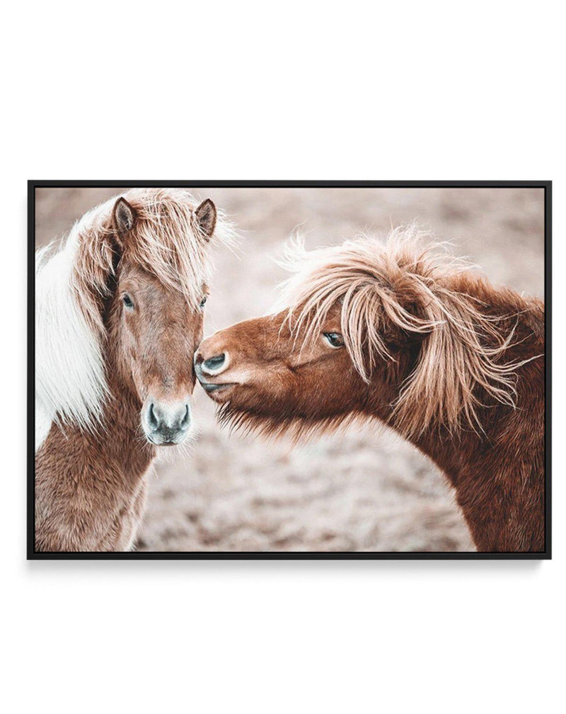 Horse Kisses | Framed Canvas-CANVAS-You can shop wall art online with Olive et Oriel for everything from abstract art to fun kids wall art. Our beautiful modern art prints and canvas art are available from large canvas prints to wall art paintings and our proudly Australian artwork collection offers only the highest quality framed large wall art and canvas art Australia - You can buy fashion photography prints or Hampton print posters and paintings on canvas from Olive et Oriel and have them del