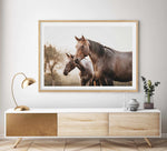 Horses in the Mist Art Print-PRINT-Olive et Oriel-Olive et Oriel-Buy-Australian-Art-Prints-Online-with-Olive-et-Oriel-Your-Artwork-Specialists-Austrailia-Decorate-With-Coastal-Photo-Wall-Art-Prints-From-Our-Beach-House-Artwork-Collection-Fine-Poster-and-Framed-Artwork
