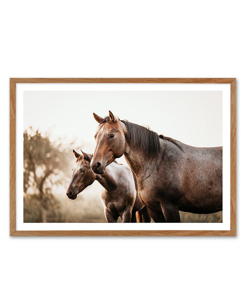 Horses in the Mist Art Print-PRINT-Olive et Oriel-Olive et Oriel-50x70 cm | 19.6" x 27.5"-Walnut-With White Border-Buy-Australian-Art-Prints-Online-with-Olive-et-Oriel-Your-Artwork-Specialists-Austrailia-Decorate-With-Coastal-Photo-Wall-Art-Prints-From-Our-Beach-House-Artwork-Collection-Fine-Poster-and-Framed-Artwork