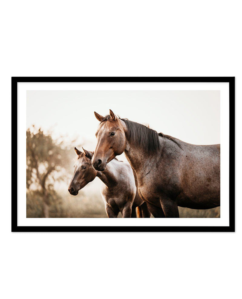 Horses in the Mist Art Print-PRINT-Olive et Oriel-Olive et Oriel-A5 | 5.8" x 8.3" | 14.8 x 21cm-Black-With White Border-Buy-Australian-Art-Prints-Online-with-Olive-et-Oriel-Your-Artwork-Specialists-Austrailia-Decorate-With-Coastal-Photo-Wall-Art-Prints-From-Our-Beach-House-Artwork-Collection-Fine-Poster-and-Framed-Artwork