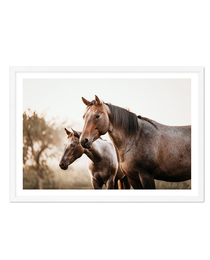 Horses in the Mist Art Print-PRINT-Olive et Oriel-Olive et Oriel-A5 | 5.8" x 8.3" | 14.8 x 21cm-White-With White Border-Buy-Australian-Art-Prints-Online-with-Olive-et-Oriel-Your-Artwork-Specialists-Austrailia-Decorate-With-Coastal-Photo-Wall-Art-Prints-From-Our-Beach-House-Artwork-Collection-Fine-Poster-and-Framed-Artwork
