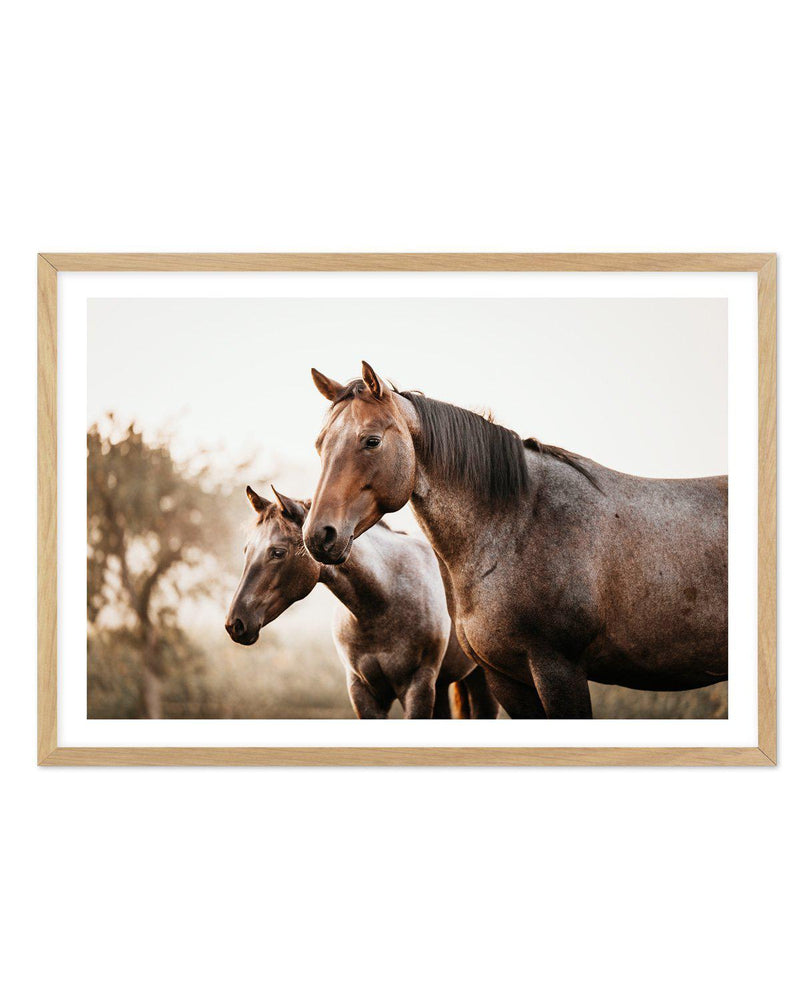 Horses in the Mist Art Print-PRINT-Olive et Oriel-Olive et Oriel-A5 | 5.8" x 8.3" | 14.8 x 21cm-Oak-With White Border-Buy-Australian-Art-Prints-Online-with-Olive-et-Oriel-Your-Artwork-Specialists-Austrailia-Decorate-With-Coastal-Photo-Wall-Art-Prints-From-Our-Beach-House-Artwork-Collection-Fine-Poster-and-Framed-Artwork