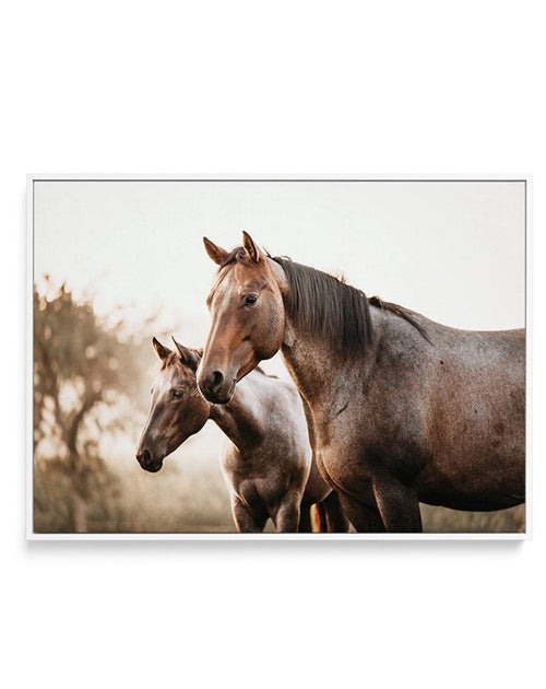 Horses in the Mist | Framed Canvas-CANVAS-You can shop wall art online with Olive et Oriel for everything from abstract art to fun kids wall art. Our beautiful modern art prints and canvas art are available from large canvas prints to wall art paintings and our proudly Australian artwork collection offers only the highest quality framed large wall art and canvas art Australia - You can buy fashion photography prints or Hampton print posters and paintings on canvas from Olive et Oriel and have th