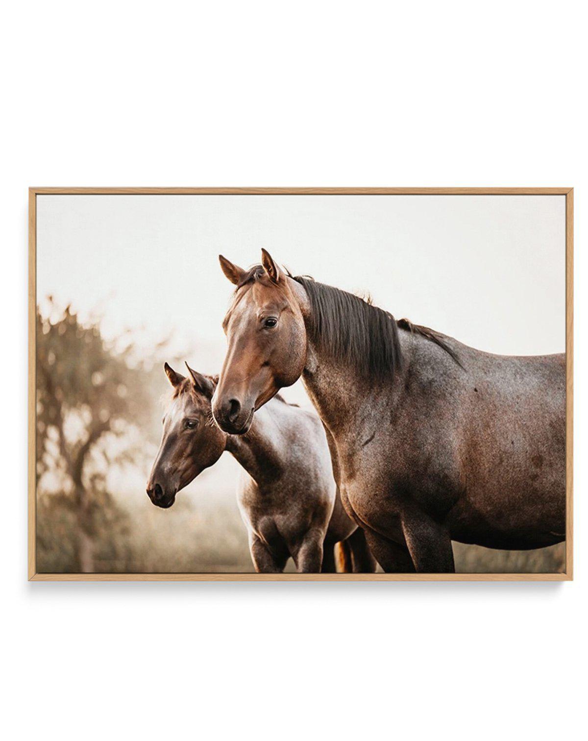 Horses in the Mist | Framed Canvas-CANVAS-You can shop wall art online with Olive et Oriel for everything from abstract art to fun kids wall art. Our beautiful modern art prints and canvas art are available from large canvas prints to wall art paintings and our proudly Australian artwork collection offers only the highest quality framed large wall art and canvas art Australia - You can buy fashion photography prints or Hampton print posters and paintings on canvas from Olive et Oriel and have th