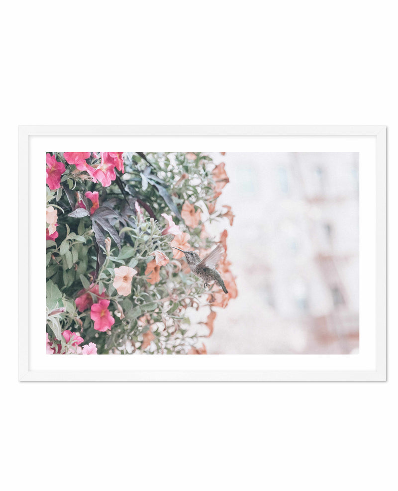 Hummingbird | Rodeo Drive Art Print-PRINT-Olive et Oriel-Olive et Oriel-A4 | 8.3" x 11.7" | 21 x 29.7cm-White-With White Border-Buy-Australian-Art-Prints-Online-with-Olive-et-Oriel-Your-Artwork-Specialists-Austrailia-Decorate-With-Coastal-Photo-Wall-Art-Prints-From-Our-Beach-House-Artwork-Collection-Fine-Poster-and-Framed-Artwork