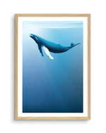 Humpback | Graphic Whales Collection Art Print-PRINT-Olive et Oriel-Olive et Oriel-A5 | 5.8" x 8.3" | 14.8 x 21cm-Oak-With White Border-Buy-Australian-Art-Prints-Online-with-Olive-et-Oriel-Your-Artwork-Specialists-Austrailia-Decorate-With-Coastal-Photo-Wall-Art-Prints-From-Our-Beach-House-Artwork-Collection-Fine-Poster-and-Framed-Artwork