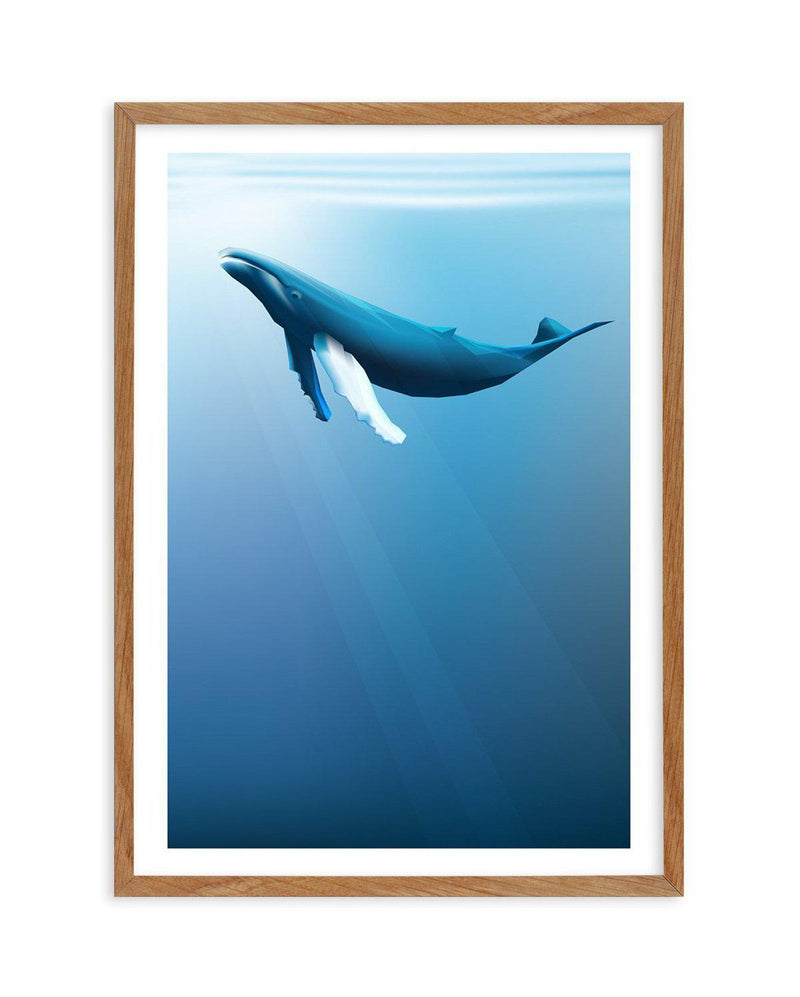 Humpback | Graphic Whales Collection Art Print-PRINT-Olive et Oriel-Olive et Oriel-50x70 cm | 19.6" x 27.5"-Walnut-With White Border-Buy-Australian-Art-Prints-Online-with-Olive-et-Oriel-Your-Artwork-Specialists-Austrailia-Decorate-With-Coastal-Photo-Wall-Art-Prints-From-Our-Beach-House-Artwork-Collection-Fine-Poster-and-Framed-Artwork