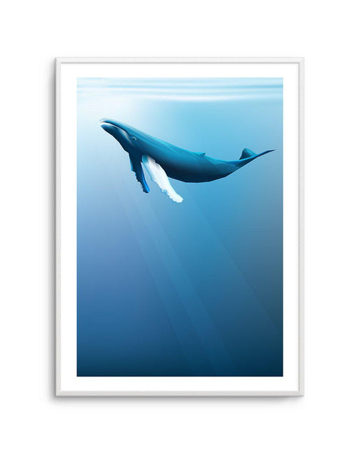 Humpback | Graphic Whales Collection Art Print-PRINT-Olive et Oriel-Olive et Oriel-A5 | 5.8" x 8.3" | 14.8 x 21cm-Unframed Art Print-With White Border-Buy-Australian-Art-Prints-Online-with-Olive-et-Oriel-Your-Artwork-Specialists-Austrailia-Decorate-With-Coastal-Photo-Wall-Art-Prints-From-Our-Beach-House-Artwork-Collection-Fine-Poster-and-Framed-Artwork