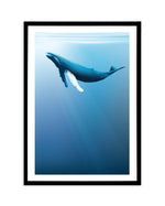 Humpback | Graphic Whales Collection Art Print-PRINT-Olive et Oriel-Olive et Oriel-A5 | 5.8" x 8.3" | 14.8 x 21cm-Black-With White Border-Buy-Australian-Art-Prints-Online-with-Olive-et-Oriel-Your-Artwork-Specialists-Austrailia-Decorate-With-Coastal-Photo-Wall-Art-Prints-From-Our-Beach-House-Artwork-Collection-Fine-Poster-and-Framed-Artwork