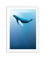 Humpback | Graphic Whales Collection Art Print-PRINT-Olive et Oriel-Olive et Oriel-A5 | 5.8" x 8.3" | 14.8 x 21cm-White-With White Border-Buy-Australian-Art-Prints-Online-with-Olive-et-Oriel-Your-Artwork-Specialists-Austrailia-Decorate-With-Coastal-Photo-Wall-Art-Prints-From-Our-Beach-House-Artwork-Collection-Fine-Poster-and-Framed-Artwork