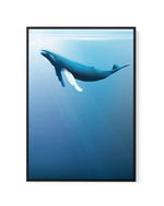 Humpback | Graphic Whales Collection | Framed Canvas-CANVAS-You can shop wall art online with Olive et Oriel for everything from abstract art to fun kids wall art. Our beautiful modern art prints and canvas art are available from large canvas prints to wall art paintings and our proudly Australian artwork collection offers only the highest quality framed large wall art and canvas art Australia - You can buy fashion photography prints or Hampton print posters and paintings on canvas from Olive et
