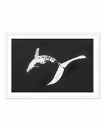 Humpback Whales I Art Print-PRINT-Olive et Oriel-Olive et Oriel-A5 | 5.8" x 8.3" | 14.8 x 21cm-White-With White Border-Buy-Australian-Art-Prints-Online-with-Olive-et-Oriel-Your-Artwork-Specialists-Austrailia-Decorate-With-Coastal-Photo-Wall-Art-Prints-From-Our-Beach-House-Artwork-Collection-Fine-Poster-and-Framed-Artwork