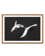 Humpback Whales I Art Print-PRINT-Olive et Oriel-Olive et Oriel-50x70 cm | 19.6" x 27.5"-Walnut-With White Border-Buy-Australian-Art-Prints-Online-with-Olive-et-Oriel-Your-Artwork-Specialists-Austrailia-Decorate-With-Coastal-Photo-Wall-Art-Prints-From-Our-Beach-House-Artwork-Collection-Fine-Poster-and-Framed-Artwork