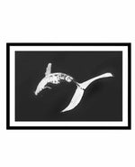 Humpback Whales I Art Print-PRINT-Olive et Oriel-Olive et Oriel-A5 | 5.8" x 8.3" | 14.8 x 21cm-Black-With White Border-Buy-Australian-Art-Prints-Online-with-Olive-et-Oriel-Your-Artwork-Specialists-Austrailia-Decorate-With-Coastal-Photo-Wall-Art-Prints-From-Our-Beach-House-Artwork-Collection-Fine-Poster-and-Framed-Artwork