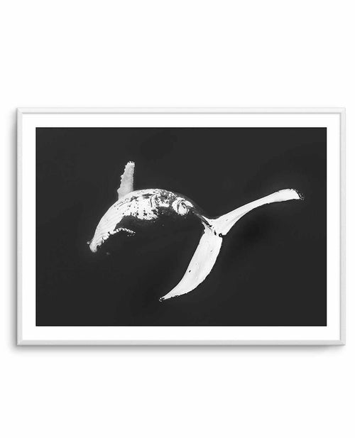 Humpback Whales I Art Print-PRINT-Olive et Oriel-Olive et Oriel-A5 | 5.8" x 8.3" | 14.8 x 21cm-Unframed Art Print-With White Border-Buy-Australian-Art-Prints-Online-with-Olive-et-Oriel-Your-Artwork-Specialists-Austrailia-Decorate-With-Coastal-Photo-Wall-Art-Prints-From-Our-Beach-House-Artwork-Collection-Fine-Poster-and-Framed-Artwork