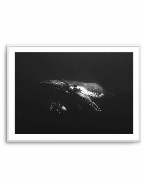 Humpback Whales II Art Print-PRINT-Olive et Oriel-Olive et Oriel-A5 | 5.8" x 8.3" | 14.8 x 21cm-Unframed Art Print-With White Border-Buy-Australian-Art-Prints-Online-with-Olive-et-Oriel-Your-Artwork-Specialists-Austrailia-Decorate-With-Coastal-Photo-Wall-Art-Prints-From-Our-Beach-House-Artwork-Collection-Fine-Poster-and-Framed-Artwork