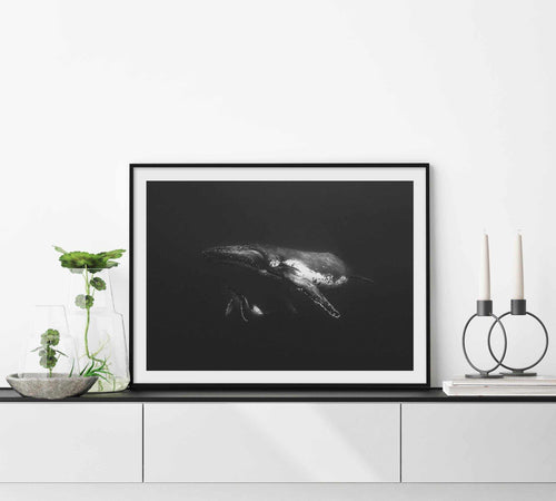 Humpback Whales II Art Print-PRINT-Olive et Oriel-Olive et Oriel-Buy-Australian-Art-Prints-Online-with-Olive-et-Oriel-Your-Artwork-Specialists-Austrailia-Decorate-With-Coastal-Photo-Wall-Art-Prints-From-Our-Beach-House-Artwork-Collection-Fine-Poster-and-Framed-Artwork
