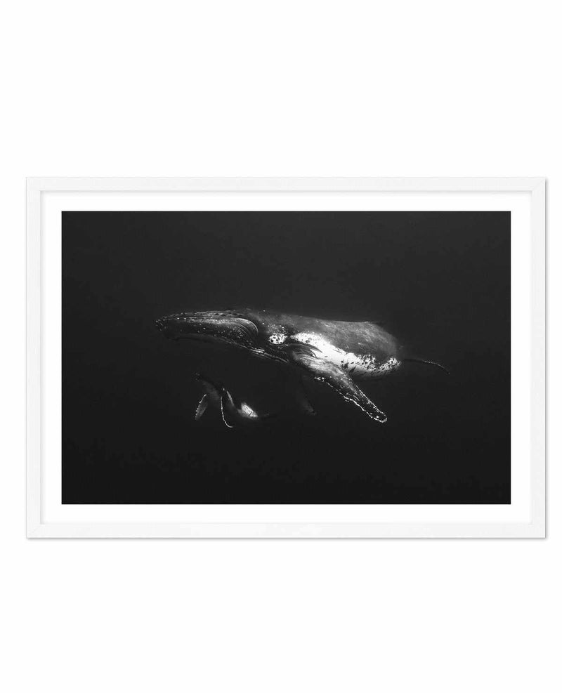 Humpback Whales II Art Print-PRINT-Olive et Oriel-Olive et Oriel-A5 | 5.8" x 8.3" | 14.8 x 21cm-White-With White Border-Buy-Australian-Art-Prints-Online-with-Olive-et-Oriel-Your-Artwork-Specialists-Austrailia-Decorate-With-Coastal-Photo-Wall-Art-Prints-From-Our-Beach-House-Artwork-Collection-Fine-Poster-and-Framed-Artwork