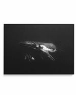 Humpback Whales II | Framed Canvas-CANVAS-You can shop wall art online with Olive et Oriel for everything from abstract art to fun kids wall art. Our beautiful modern art prints and canvas art are available from large canvas prints to wall art paintings and our proudly Australian artwork collection offers only the highest quality framed large wall art and canvas art Australia - You can buy fashion photography prints or Hampton print posters and paintings on canvas from Olive et Oriel and have th
