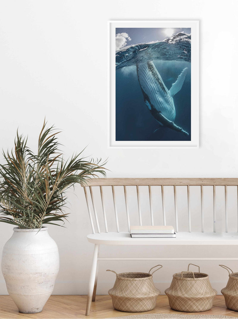Humpback Whales III Art Print-PRINT-Olive et Oriel-Olive et Oriel-Buy-Australian-Art-Prints-Online-with-Olive-et-Oriel-Your-Artwork-Specialists-Austrailia-Decorate-With-Coastal-Photo-Wall-Art-Prints-From-Our-Beach-House-Artwork-Collection-Fine-Poster-and-Framed-Artwork