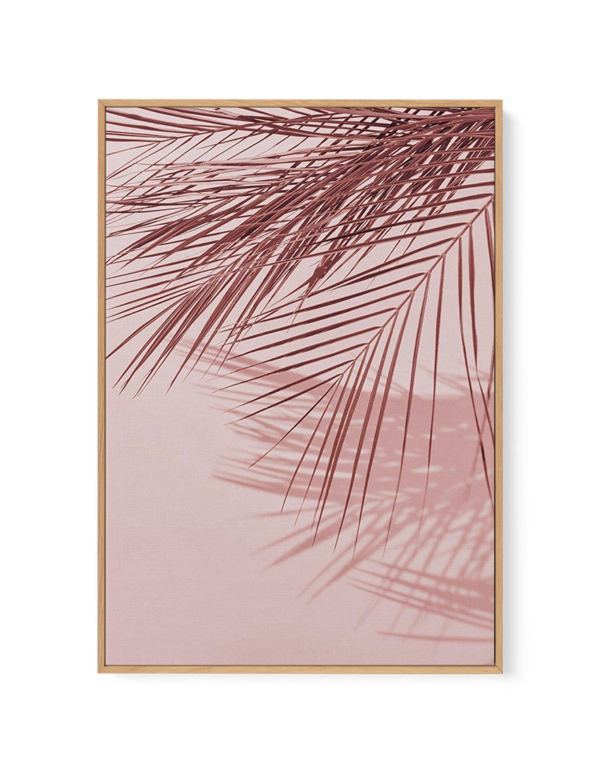 Ibiza Palms II | Framed Canvas-CANVAS-You can shop wall art online with Olive et Oriel for everything from abstract art to fun kids wall art. Our beautiful modern art prints and canvas art are available from large canvas prints to wall art paintings and our proudly Australian artwork collection offers only the highest quality framed large wall art and canvas art Australia - You can buy fashion photography prints or Hampton print posters and paintings on canvas from Olive et Oriel and have them d