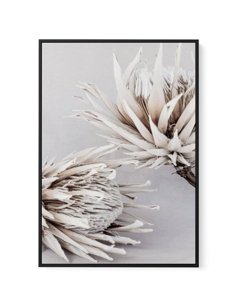 Iced Protea I | Framed Canvas-CANVAS-You can shop wall art online with Olive et Oriel for everything from abstract art to fun kids wall art. Our beautiful modern art prints and canvas art are available from large canvas prints to wall art paintings and our proudly Australian artwork collection offers only the highest quality framed large wall art and canvas art Australia - You can buy fashion photography prints or Hampton print posters and paintings on canvas from Olive et Oriel and have them de