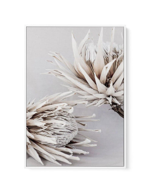Iced Protea I | Framed Canvas-CANVAS-You can shop wall art online with Olive et Oriel for everything from abstract art to fun kids wall art. Our beautiful modern art prints and canvas art are available from large canvas prints to wall art paintings and our proudly Australian artwork collection offers only the highest quality framed large wall art and canvas art Australia - You can buy fashion photography prints or Hampton print posters and paintings on canvas from Olive et Oriel and have them de