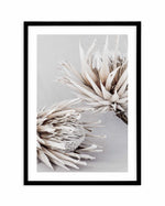 Iced Protea I Art Print-PRINT-Olive et Oriel-Olive et Oriel-A5 | 5.8" x 8.3" | 14.8 x 21cm-Black-With White Border-Buy-Australian-Art-Prints-Online-with-Olive-et-Oriel-Your-Artwork-Specialists-Austrailia-Decorate-With-Coastal-Photo-Wall-Art-Prints-From-Our-Beach-House-Artwork-Collection-Fine-Poster-and-Framed-Artwork