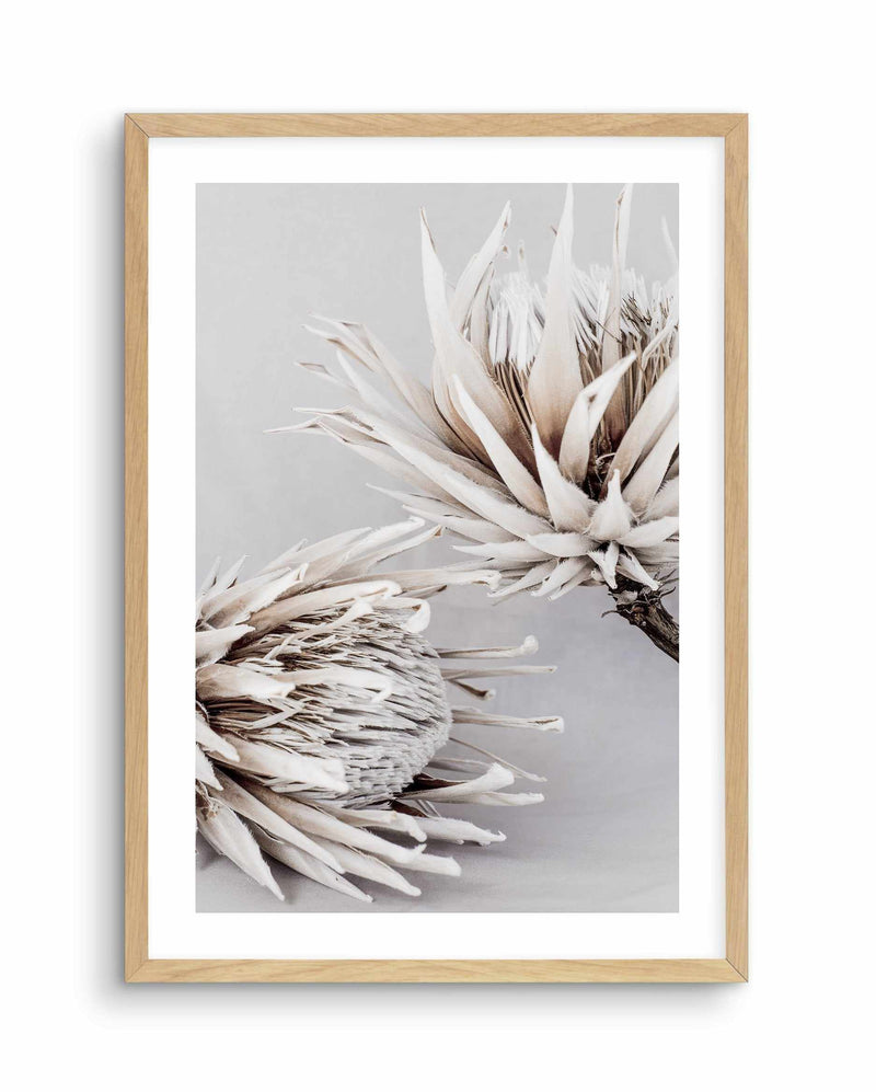 Iced Protea I Art Print-PRINT-Olive et Oriel-Olive et Oriel-A5 | 5.8" x 8.3" | 14.8 x 21cm-Oak-With White Border-Buy-Australian-Art-Prints-Online-with-Olive-et-Oriel-Your-Artwork-Specialists-Austrailia-Decorate-With-Coastal-Photo-Wall-Art-Prints-From-Our-Beach-House-Artwork-Collection-Fine-Poster-and-Framed-Artwork