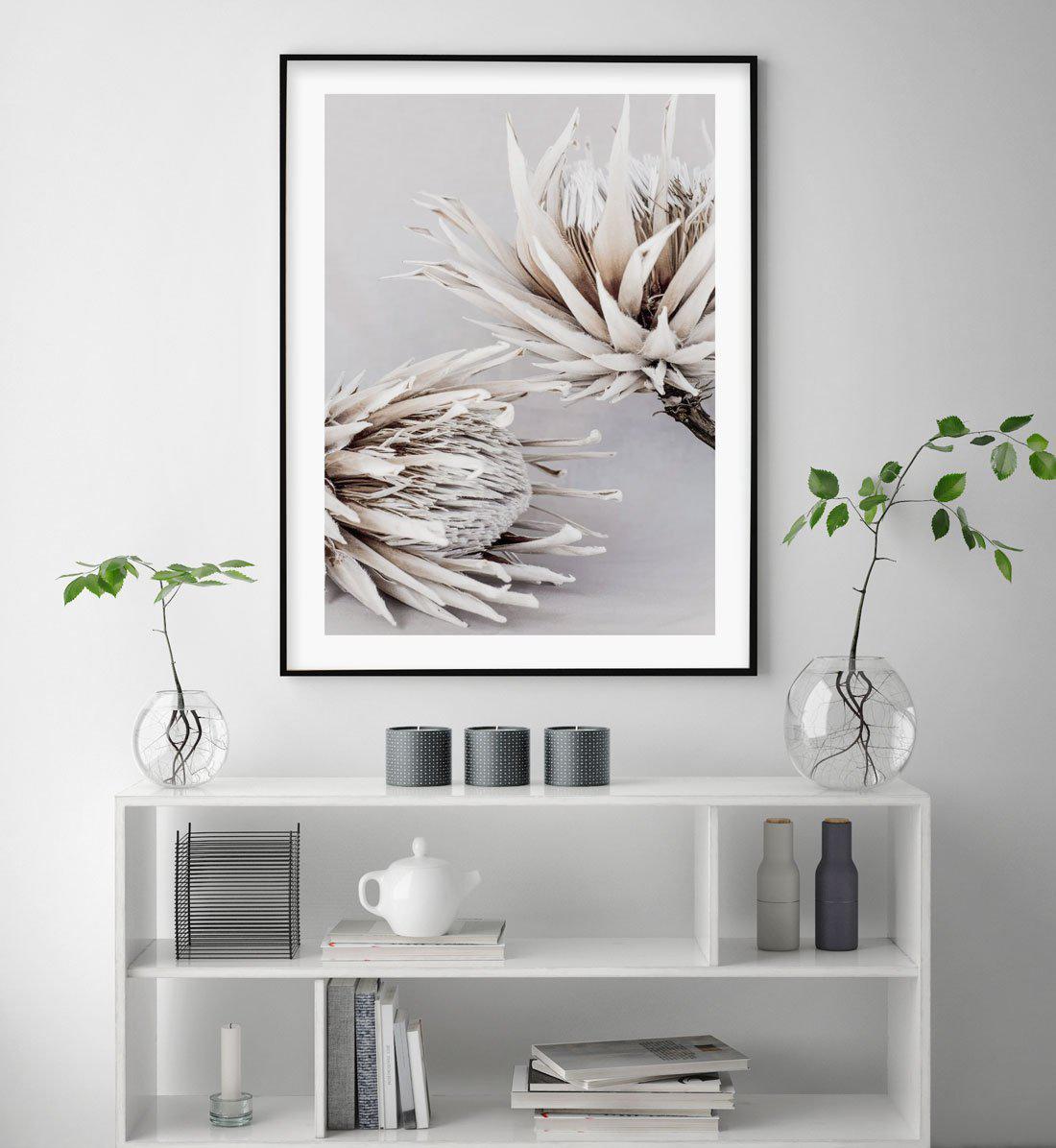 Iced Protea I Art Print-PRINT-Olive et Oriel-Olive et Oriel-Buy-Australian-Art-Prints-Online-with-Olive-et-Oriel-Your-Artwork-Specialists-Austrailia-Decorate-With-Coastal-Photo-Wall-Art-Prints-From-Our-Beach-House-Artwork-Collection-Fine-Poster-and-Framed-Artwork