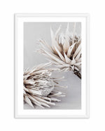 Iced Protea I Art Print-PRINT-Olive et Oriel-Olive et Oriel-A5 | 5.8" x 8.3" | 14.8 x 21cm-White-With White Border-Buy-Australian-Art-Prints-Online-with-Olive-et-Oriel-Your-Artwork-Specialists-Austrailia-Decorate-With-Coastal-Photo-Wall-Art-Prints-From-Our-Beach-House-Artwork-Collection-Fine-Poster-and-Framed-Artwork
