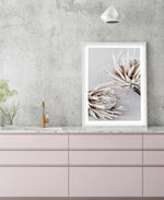 Iced Protea I Art Print-PRINT-Olive et Oriel-Olive et Oriel-Buy-Australian-Art-Prints-Online-with-Olive-et-Oriel-Your-Artwork-Specialists-Austrailia-Decorate-With-Coastal-Photo-Wall-Art-Prints-From-Our-Beach-House-Artwork-Collection-Fine-Poster-and-Framed-Artwork