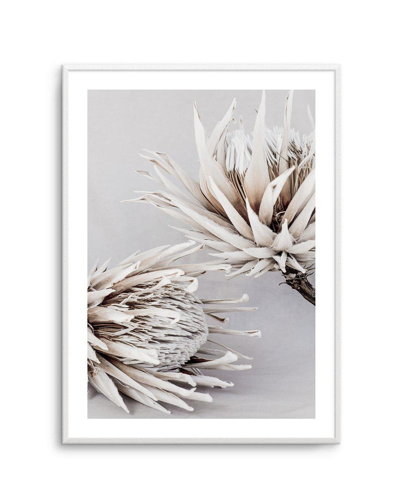 Iced Protea I Art Print-PRINT-Olive et Oriel-Olive et Oriel-A5 | 5.8" x 8.3" | 14.8 x 21cm-Unframed Art Print-With White Border-Buy-Australian-Art-Prints-Online-with-Olive-et-Oriel-Your-Artwork-Specialists-Austrailia-Decorate-With-Coastal-Photo-Wall-Art-Prints-From-Our-Beach-House-Artwork-Collection-Fine-Poster-and-Framed-Artwork