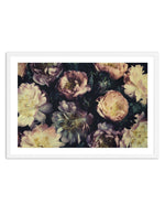 In Bloom Art Print-PRINT-Olive et Oriel-Olive et Oriel-A5 | 5.8" x 8.3" | 14.8 x 21cm-White-With White Border-Buy-Australian-Art-Prints-Online-with-Olive-et-Oriel-Your-Artwork-Specialists-Austrailia-Decorate-With-Coastal-Photo-Wall-Art-Prints-From-Our-Beach-House-Artwork-Collection-Fine-Poster-and-Framed-Artwork